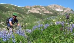 Enjoying the wildflowers in Crested Butte
