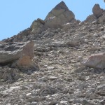 Box Rock