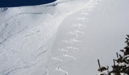 Ski Lines and Avalanches