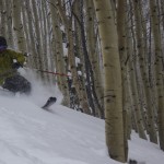 Eliot Rosenberg finds the opening in the aspens. Photo: Will Dujardin