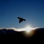 A snowboarder silhouetted. Know who this is? Tell us in the comments.  Photo: Phil Dujardin