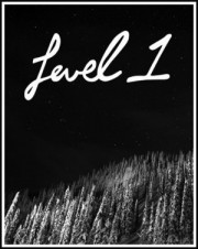 level1