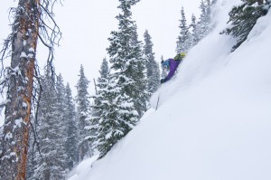 Sydney Dickinson getting deep while storm skiing in the trees below the cabin. Photo: Trent Bona