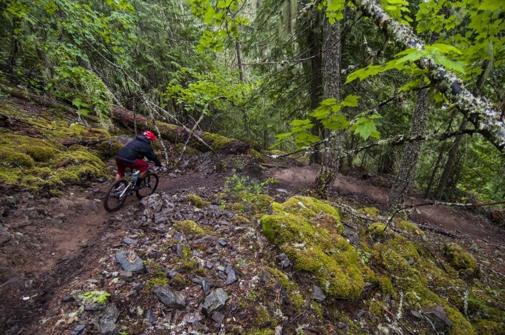 Colin working his way through the wet woods during a rain storm on Lumpy's Epic trail in Pemberton.