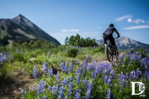 A rider rallies a beautiful Columbine trail on stage 4. Photo: Devon Balet