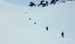 kiwiboys