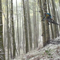 yeticycles_fallCB